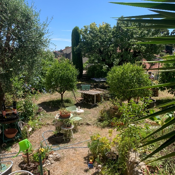 Foto dell'alloggio