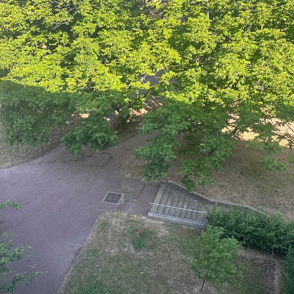 Foto dell'alloggio