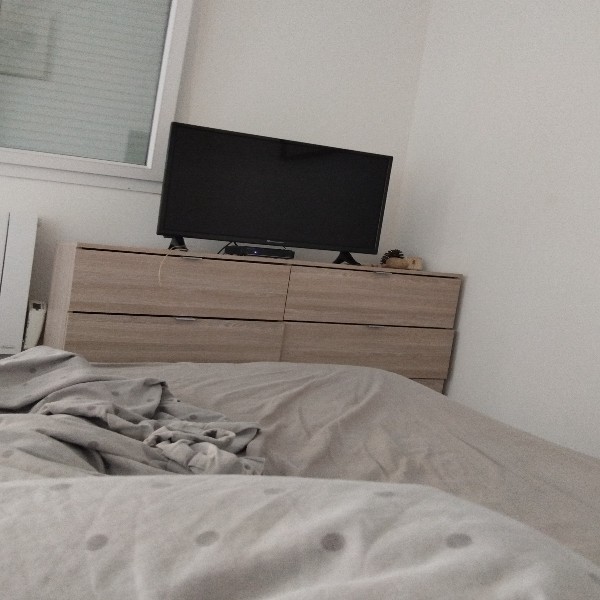 Foto dell'alloggio