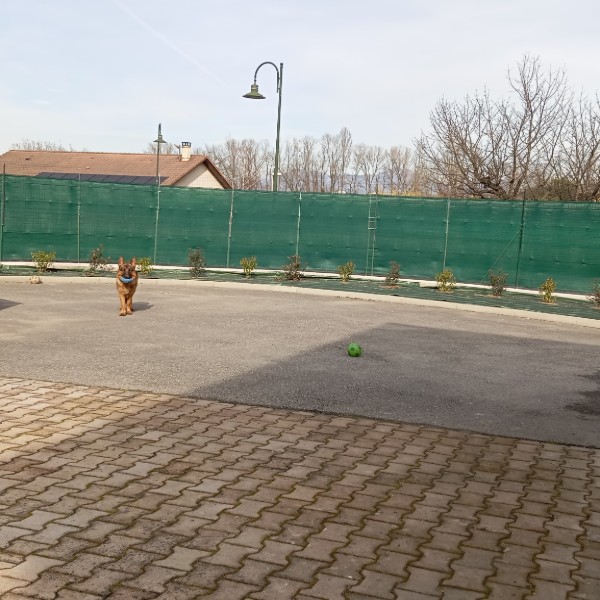 Foto dell'alloggio