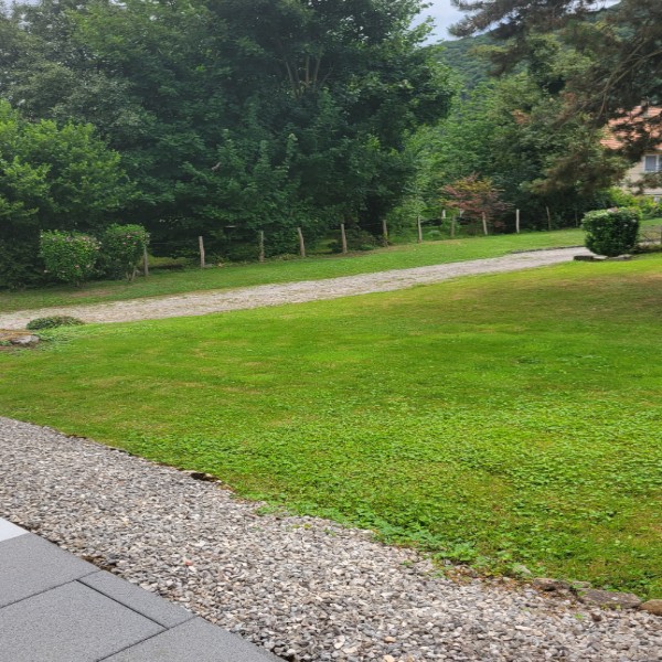 Foto dell'alloggio