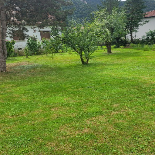 Foto dell'alloggio