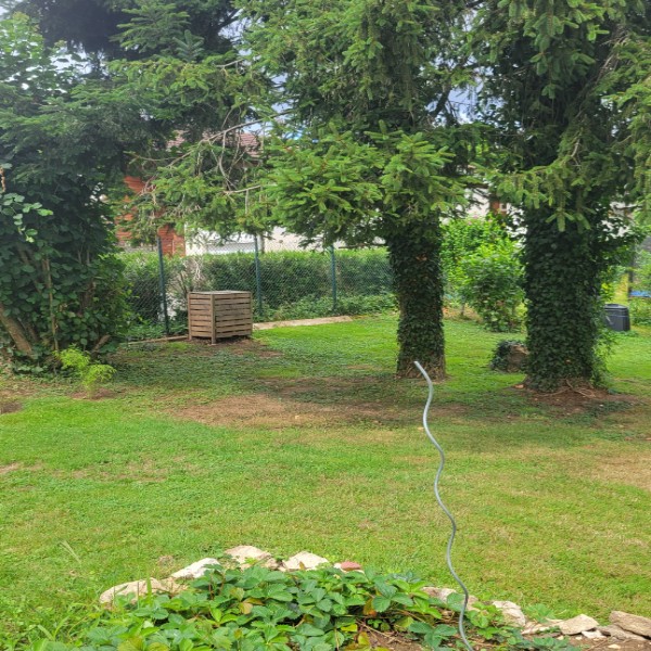 Foto dell'alloggio