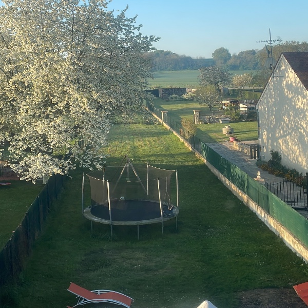 Foto dell'alloggio
