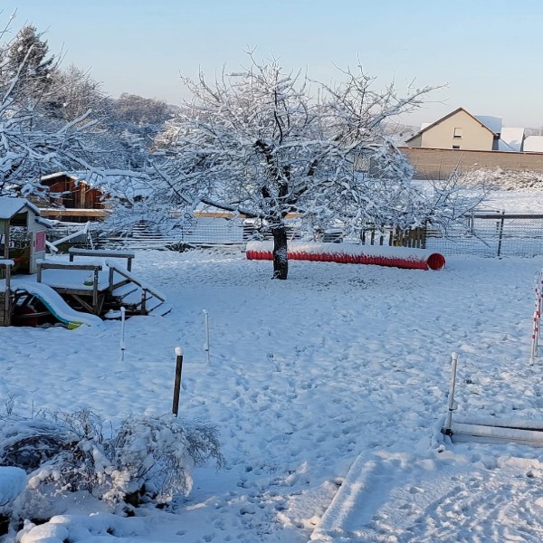 Foto dell'alloggio