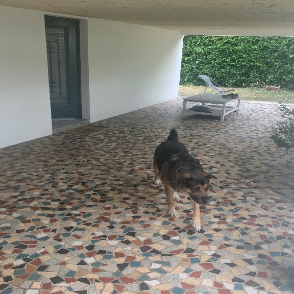 Foto dell'alloggio