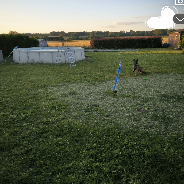 Foto dell'alloggio