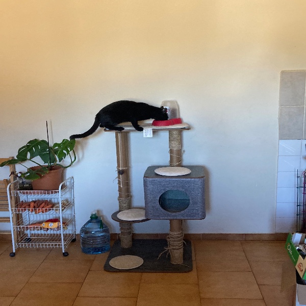 Foto dell'alloggio