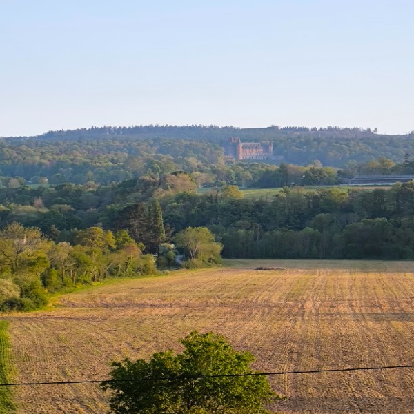 Foto dell'alloggio