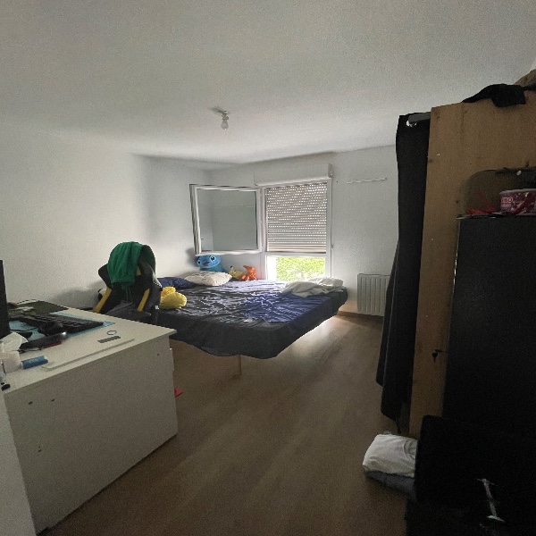Foto dell'alloggio