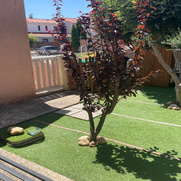 Foto dell'alloggio
