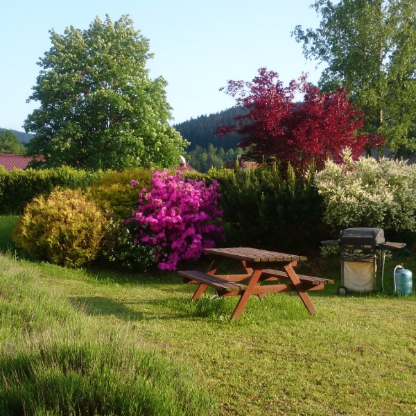 Foto dell'alloggio