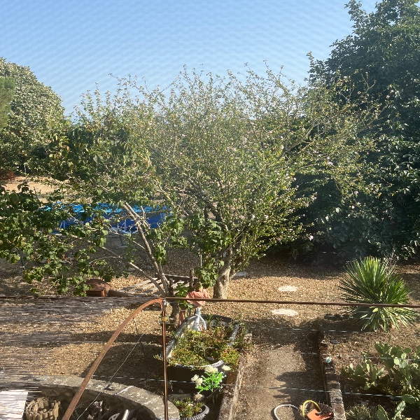 Foto dell'alloggio
