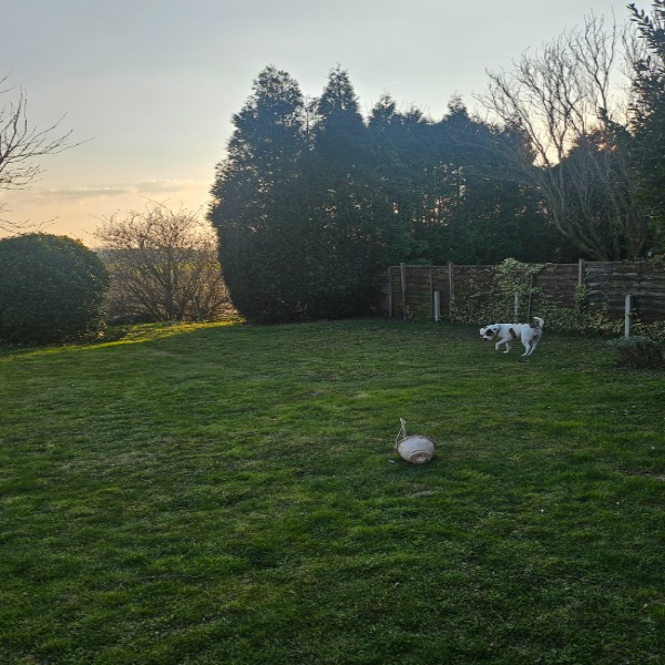 Foto dell'alloggio