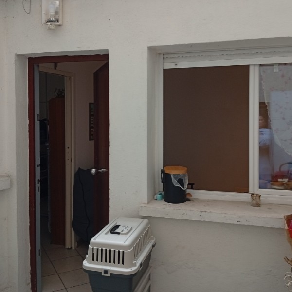 Foto dell'alloggio