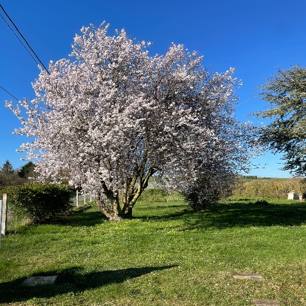Foto dell'alloggio