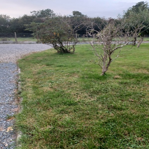 Foto dell'alloggio