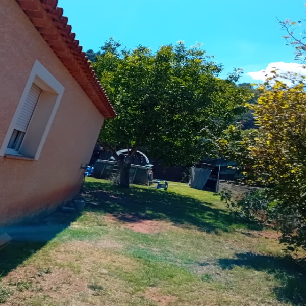Foto dell'alloggio