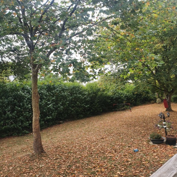 Foto dell'alloggio