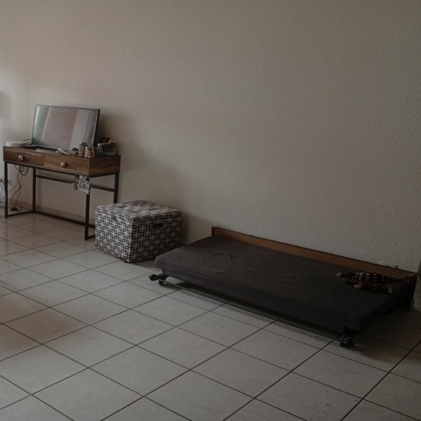 Foto dell'alloggio