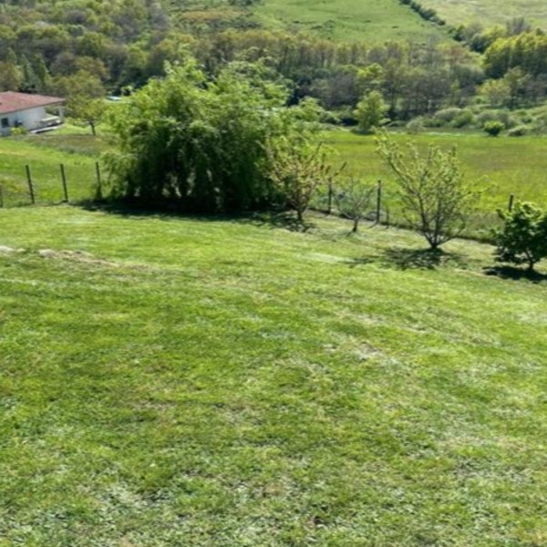 Foto dell'alloggio