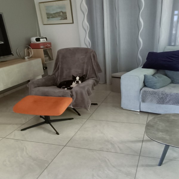 Foto dell'alloggio