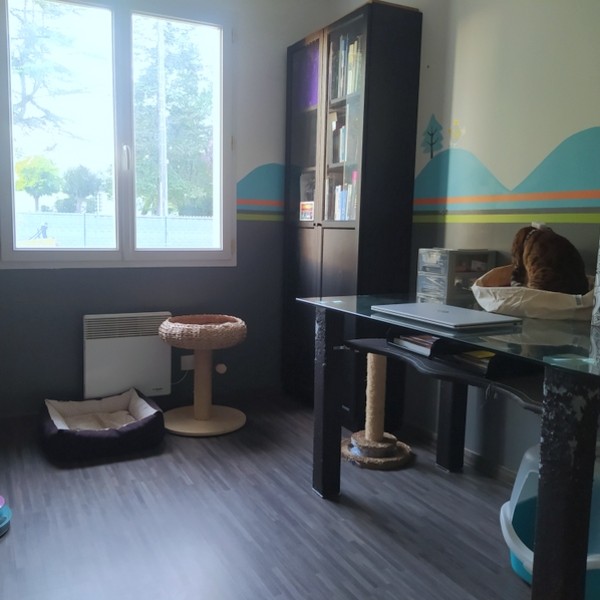 Foto dell'alloggio