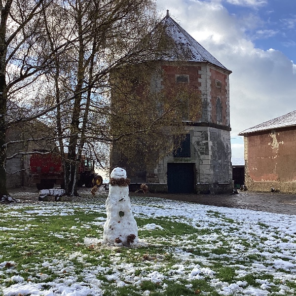 Foto dell'alloggio