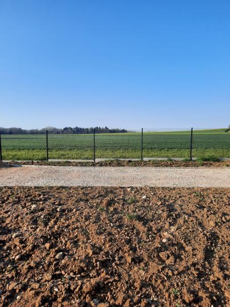 Foto dell'alloggio