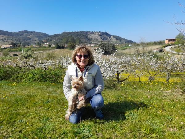 Foto dell'alloggio