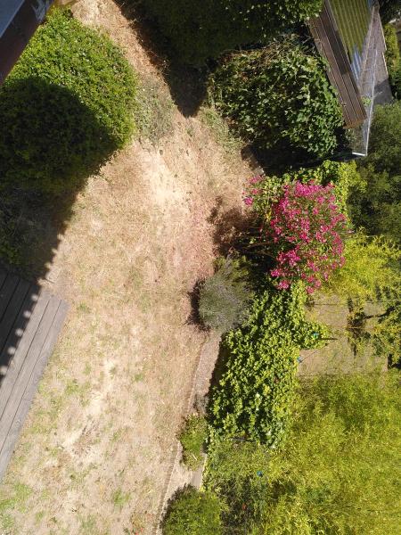 Foto dell'alloggio