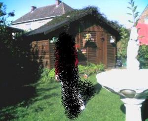 Foto dell'alloggio
