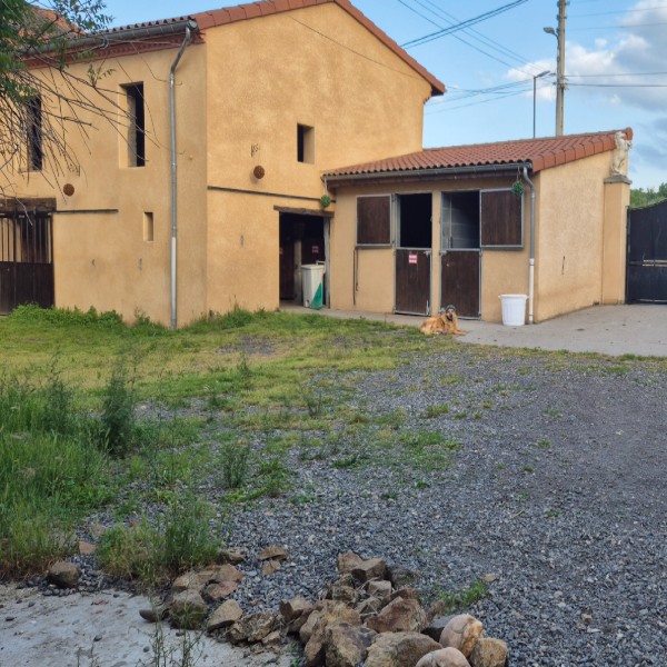 Foto dell'alloggio