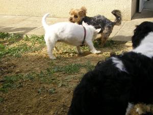 Foto dell'alloggio