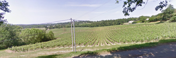 Foto dell'alloggio