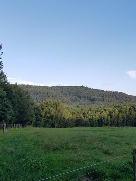 Foto dell'alloggio