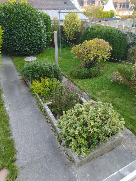 Foto dell'alloggio