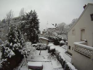 Foto dell'alloggio
