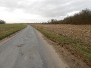 Foto dell'alloggio