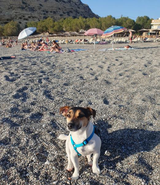 Foto dell'alloggio
