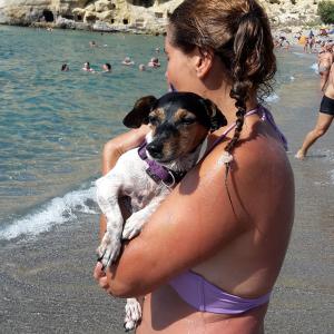 Foto dell'alloggio