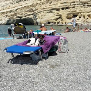 Foto dell'alloggio