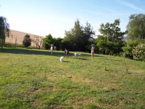 Foto dell'alloggio