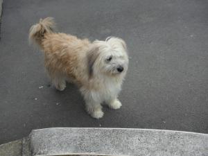 Foto dell'alloggio