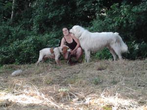 Foto dell'alloggio