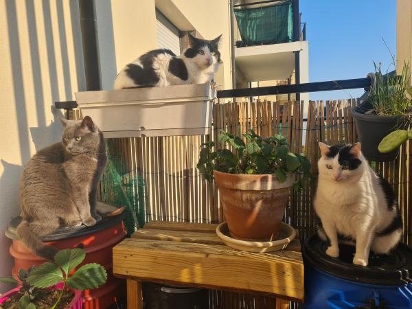 Foto dell'alloggio