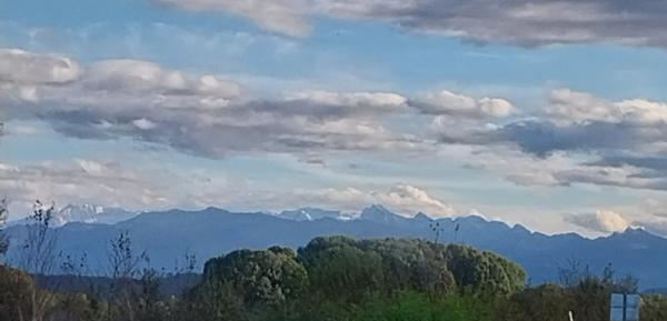 Foto dell'alloggio