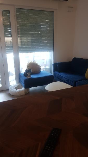 Foto dell'alloggio