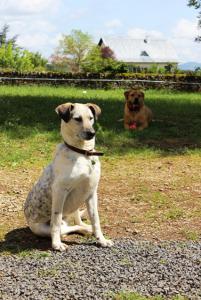 Foto dell'alloggio