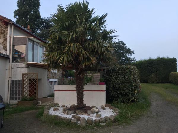 Foto dell'alloggio